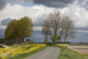 Polderlandschaft
