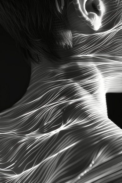 sensual lines by Egon Zitter
