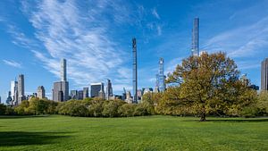 Sheep Meadow