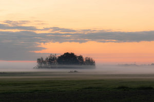 Bodennebel und oranger Himmel