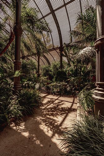 Licht en donker | warm