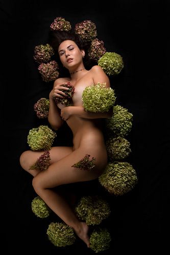 La mélancolie de l'automne