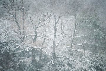 Winter wonderland van Loulou Beavers