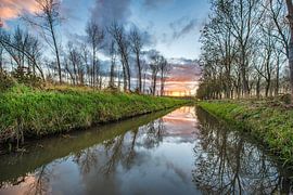 paysage