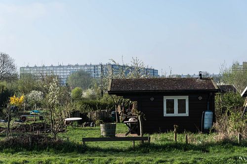 Autour d'Utrecht Pays-Bas