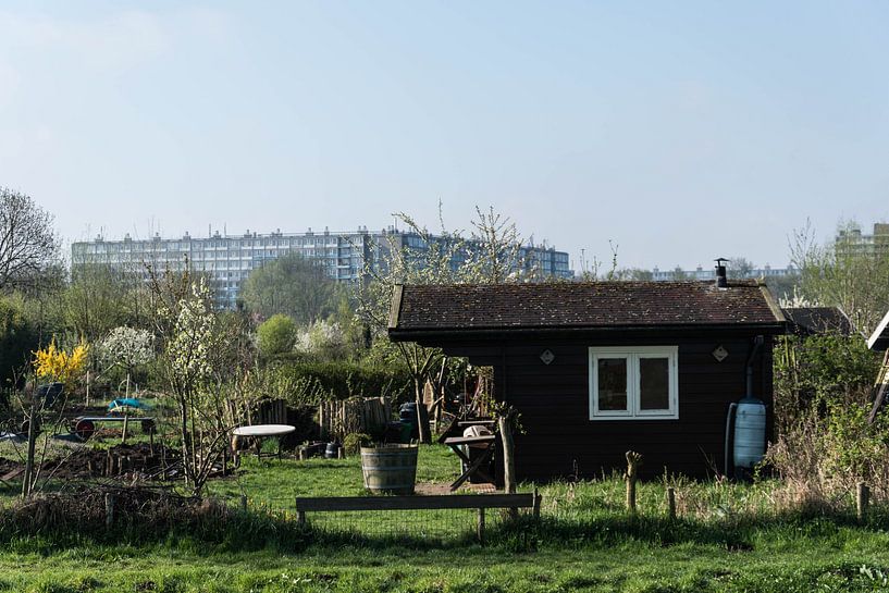 Around Utrecht Netherlands van Wil Vlasveld