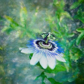 La Passion sur The Art Of Vili