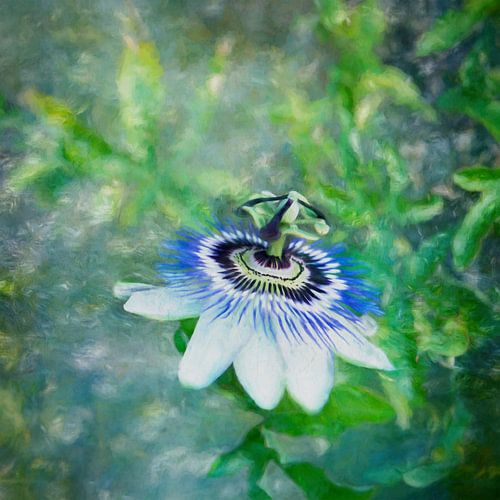 The Passion by The Art Of Vili