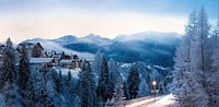 Panorama of Serfaus by Christa Krus thumbnail