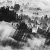 Dreamy Mountain van Walljar
