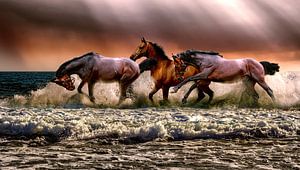 Paarden lopen door het water; Gezien bij FLINDERS van Atelier Liesjes