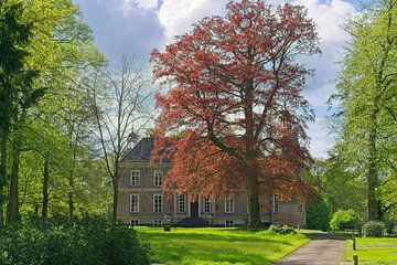 Kasteel Hackfort met rode beuk in lente van Henk van Blijderveen