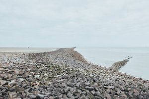 Vue sur l'Elbe près de Cuxhaven