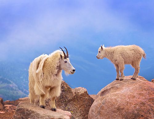 Le sourire d'une mère
