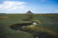Mont Saint-Michel with Grazing Sheep at Low Tide