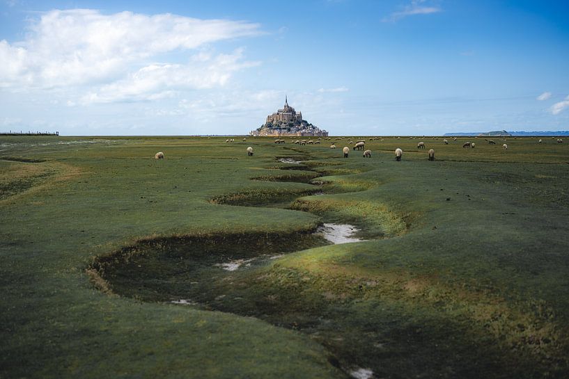 Mont Saint-Michel mit weidenden Schafen bei Ebbe von Piermarco Raimondo