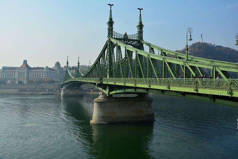 Die Freiheitsbrücke in Budapest von Marian Sintemaartensdijk