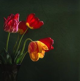 still life with a bouquet of tulips on a dark background by Mykhailo Sherman