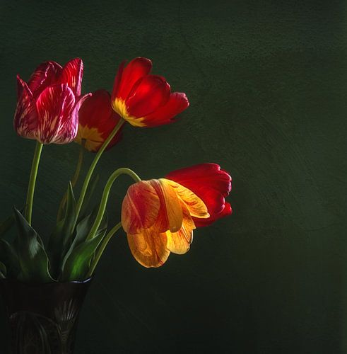 still life with a bouquet of tulips on a dark background