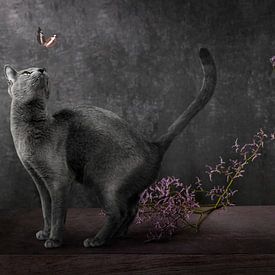 Ein Blumenstillleben mit einer schwarzen Katze und einem Schmetterling auf dem Tisch von Cindy Dominika