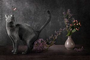 Zwarte kat en vlinder met bloemen