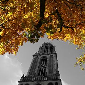 Domtoren met herfst kleuren by Erik de Geus