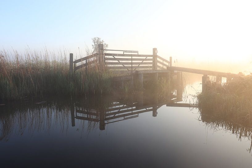 Stauzaun im Polder von Hester Hielkema