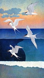 Coastal Harmony von Marja van den Hurk