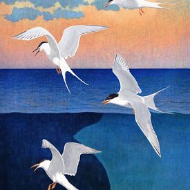 Coastal Harmony by Marja van den Hurk