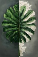 Monstera Duality
