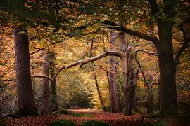Frühherbst von Kees van Dongen
