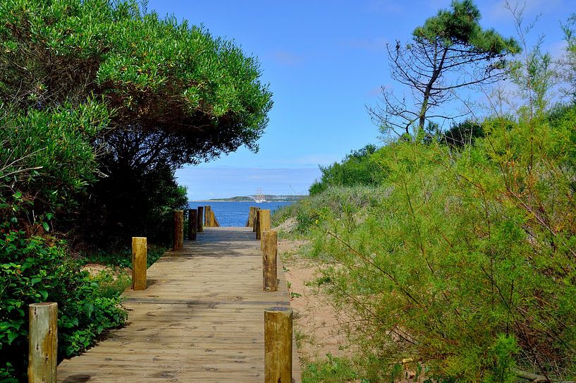 Weg zum Strand von Frank's Awesome Travels