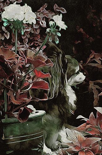 A Moment Of Chihuahua Contemplation