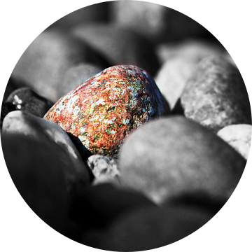 Een kleurrijke steen tussen monochrome stenen van Frank Herrmann