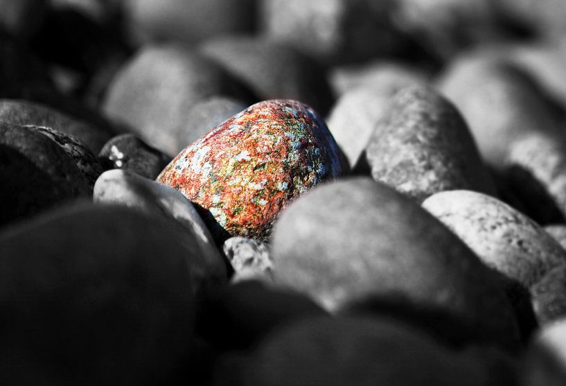Une pierre colorée parmi les pierres monochromes par Frank Herrmann