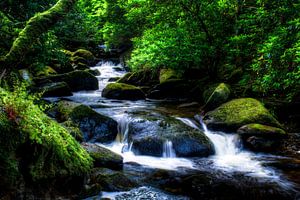 Torc-Wasserfall flussabwärts, Killarney National Park, Irland von Colin van der Bel
