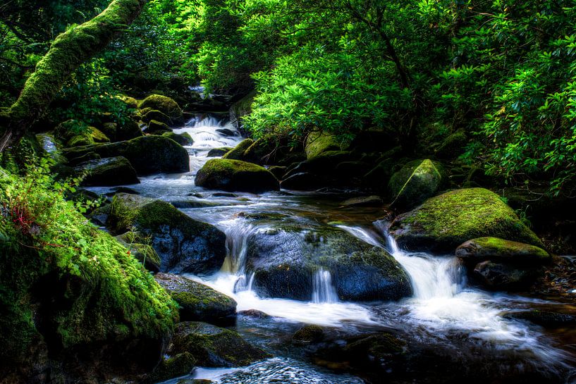 Chute d'eau Torc en aval, Parc national de Killarney, Irlande par Colin van der Bel