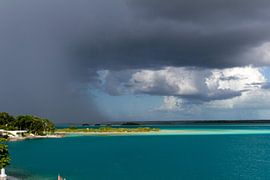 Regen in aantocht by ton vogels