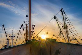 Lauwersmeer National Park by Johan Mooibroek
