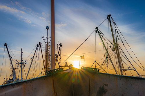 Nationaal Park Lauwersmeer