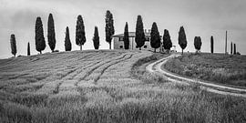 Podere I Cipressini in Black and White by Henk Meijer Photography