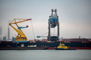 La vie portuaire en mouvement - Scènes de Rotterdam