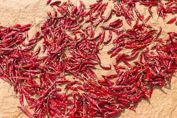 Drying peppers in the sun by Rijk van de Kaa