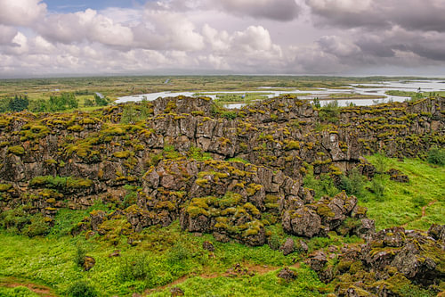 Rochers recouverts de mousse en Islande, près de la dorsale atlantique sur Patricia Hofmeester