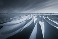 Sneeuwduinen in het Nationaal park Lauwersmeer in Groningen na een sneeuwstorm in zwart wit. De mooi van Bas Meelker thumbnail