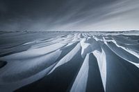 Snowdunes in the National Park Lauwersmeer in Groningen after a snowstorm in black and white. The be