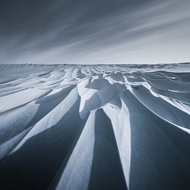 Snowdunes in the National Park Lauwersmeer in Groningen after a snowstorm in black and white. The be