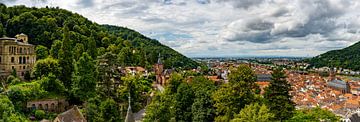 Panorama van Heidelberg, Duitsland van Guenter Purin