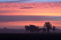 Zonsopkomst van René Groenendijk thumbnail