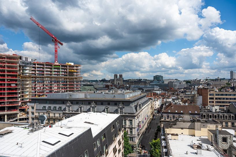 Tower view over Brussels by Werner Lerooy